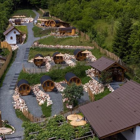 Complex Butoaiele Transilvaniei - Cazare & Spa - Natura - Relaxare Mediaş 外观 照片