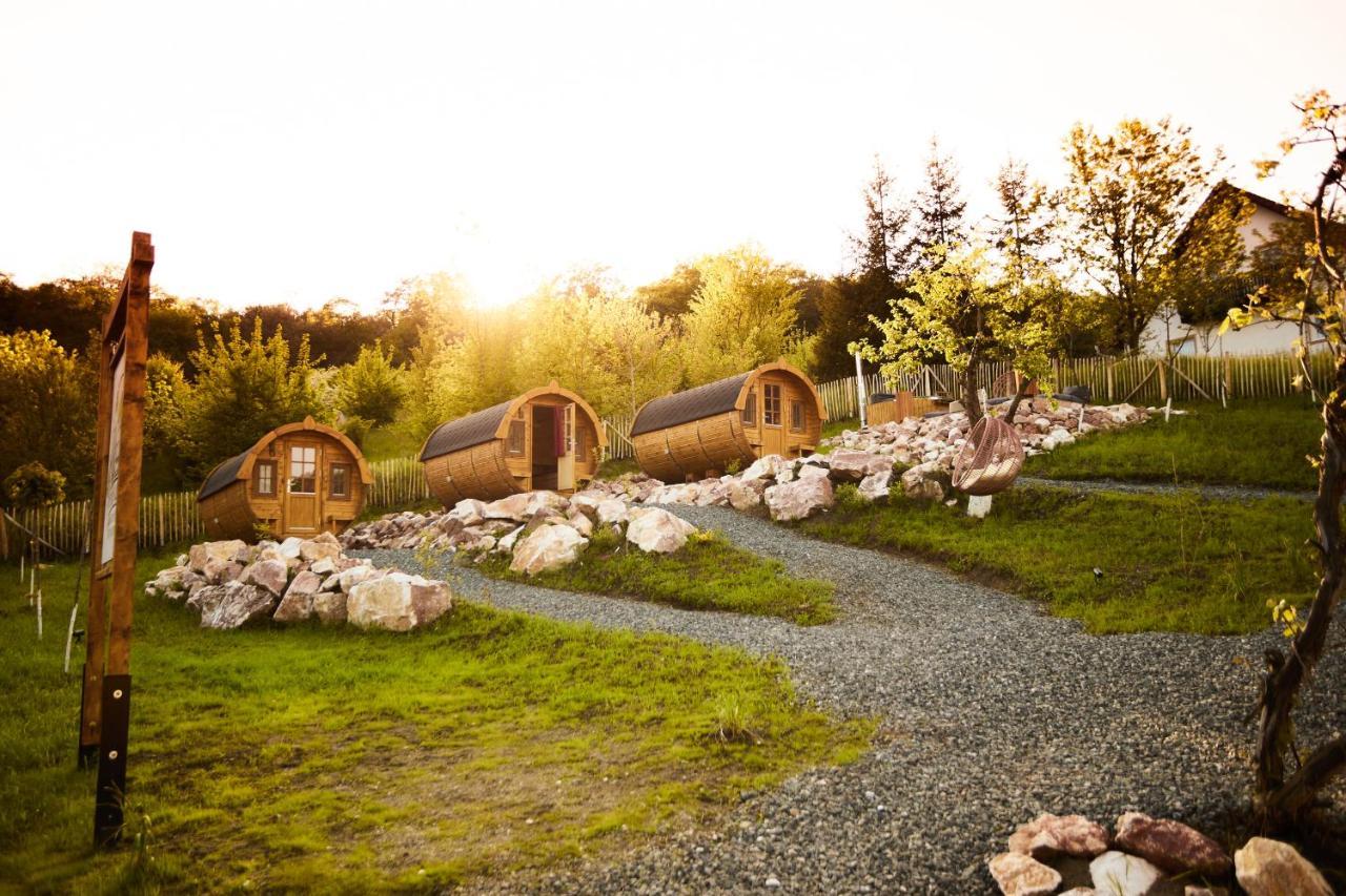 Complex Butoaiele Transilvaniei - Cazare & Spa - Natura - Relaxare Mediaş 外观 照片