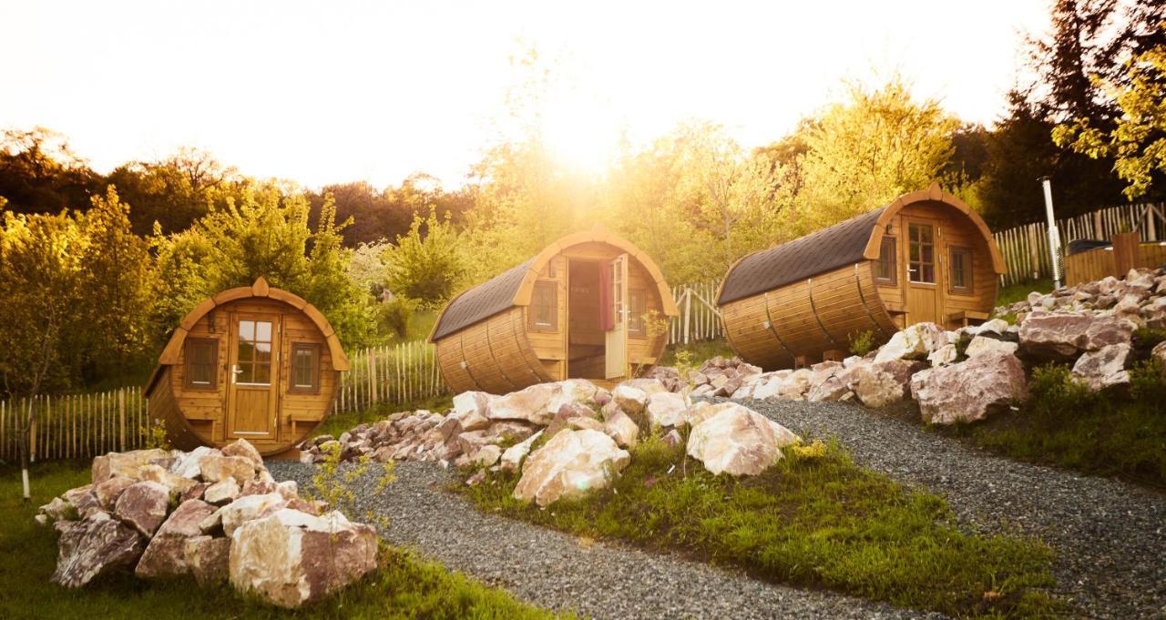 Complex Butoaiele Transilvaniei - Cazare & Spa - Natura - Relaxare Mediaş 外观 照片