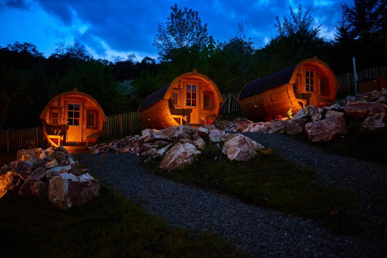 Complex Butoaiele Transilvaniei - Cazare & Spa - Natura - Relaxare Mediaş 外观 照片