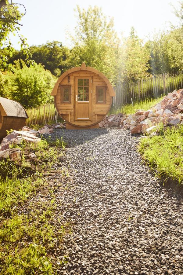 Complex Butoaiele Transilvaniei - Cazare & Spa - Natura - Relaxare Mediaş 外观 照片