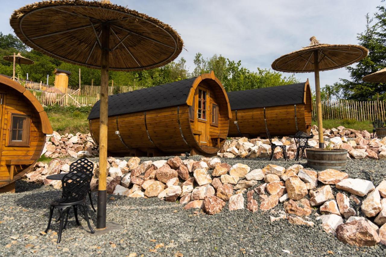 Complex Butoaiele Transilvaniei - Cazare & Spa - Natura - Relaxare Mediaş 外观 照片
