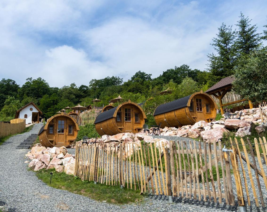 Complex Butoaiele Transilvaniei - Cazare & Spa - Natura - Relaxare Mediaş 外观 照片