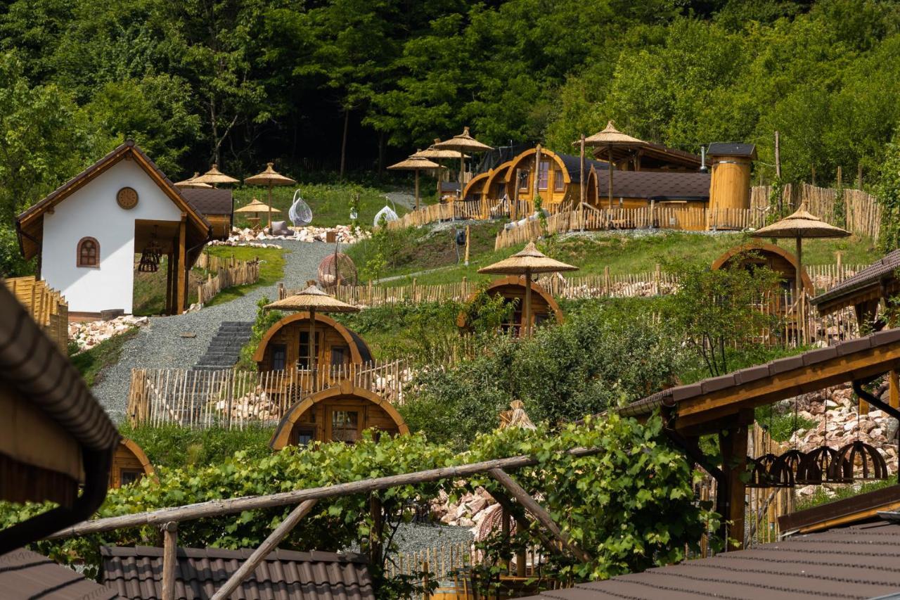 Complex Butoaiele Transilvaniei - Cazare & Spa - Natura - Relaxare Mediaş 外观 照片