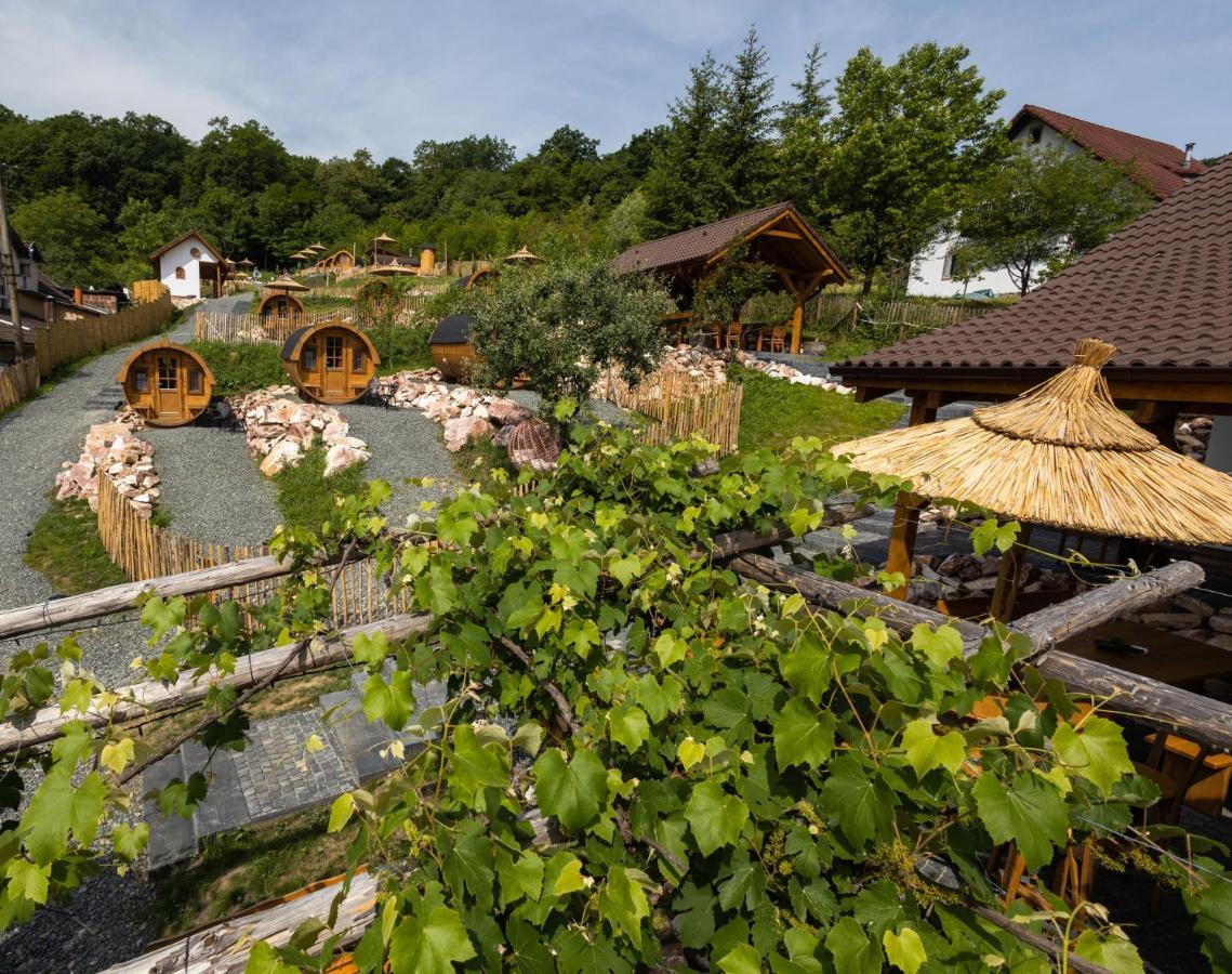 Complex Butoaiele Transilvaniei - Cazare & Spa - Natura - Relaxare Mediaş 外观 照片
