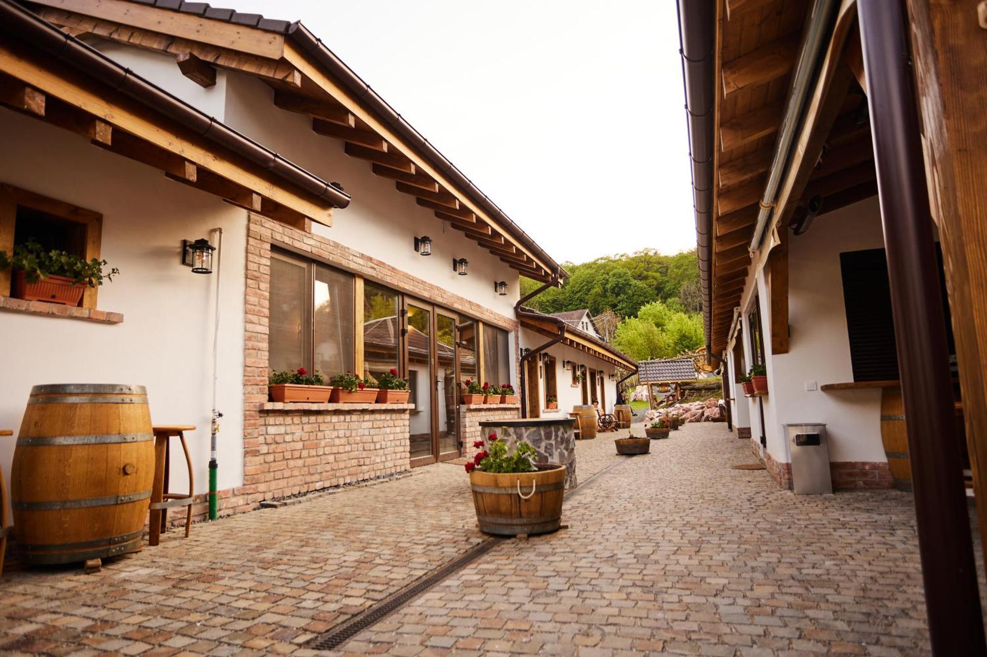 Complex Butoaiele Transilvaniei - Cazare & Spa - Natura - Relaxare Mediaş 外观 照片